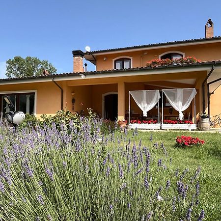 Bed & Breakfast Le Piagge Scurcola Marsicana Exterior photo